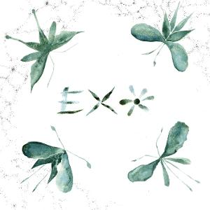 CD Shop - EXO EXO
