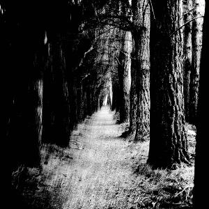 CD Shop - STRAY THEORIES FALTER