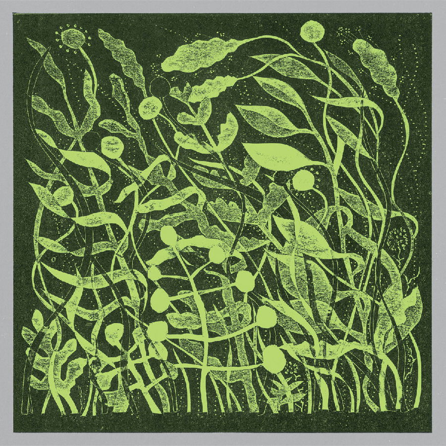CD Shop - KIRK BARLEY LUX