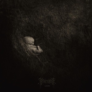 CD Shop - THORNGOTH LEERE