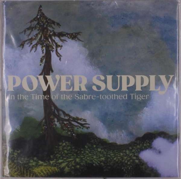 CD Shop - POWER SUPPLY IN THE TIME OF SABRE-T...