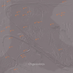 CD Shop - ORGANIZATSIYA A L\