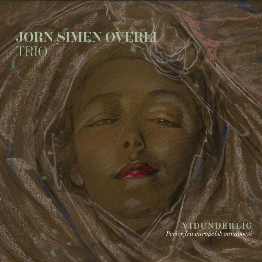 CD Shop - JORN SIMEN OVERLI VIDUNDERLIG - PERLER F...