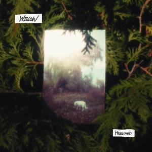 CD Shop - PRELOVED WILLOW