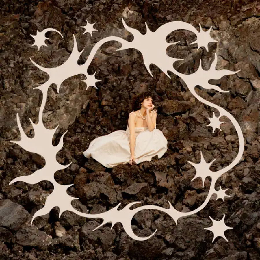 CD Shop - LITTLE MOON DEAR DIVINE