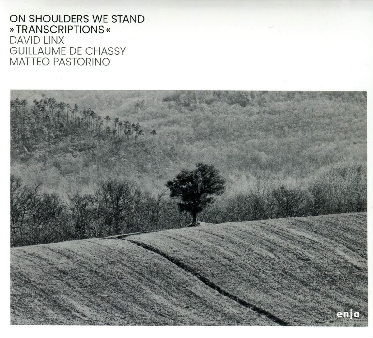 CD Shop - DAVID LINX ON SHOULDERS WE STAND