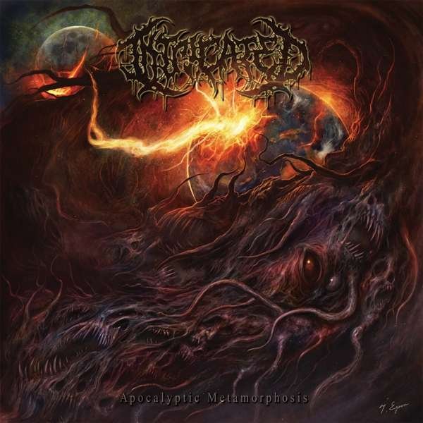 CD Shop - INTRICATED APOCALYPTIC METAMORPHOSIS