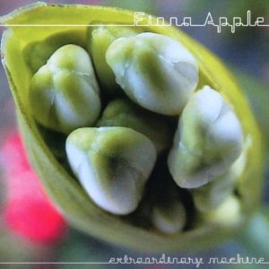 CD Shop - FIONA APPLE EXTRAORDINARY MACHINE