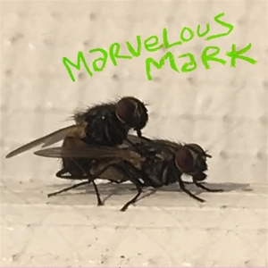 CD Shop - MARVELOUS MARK BUZZIN\