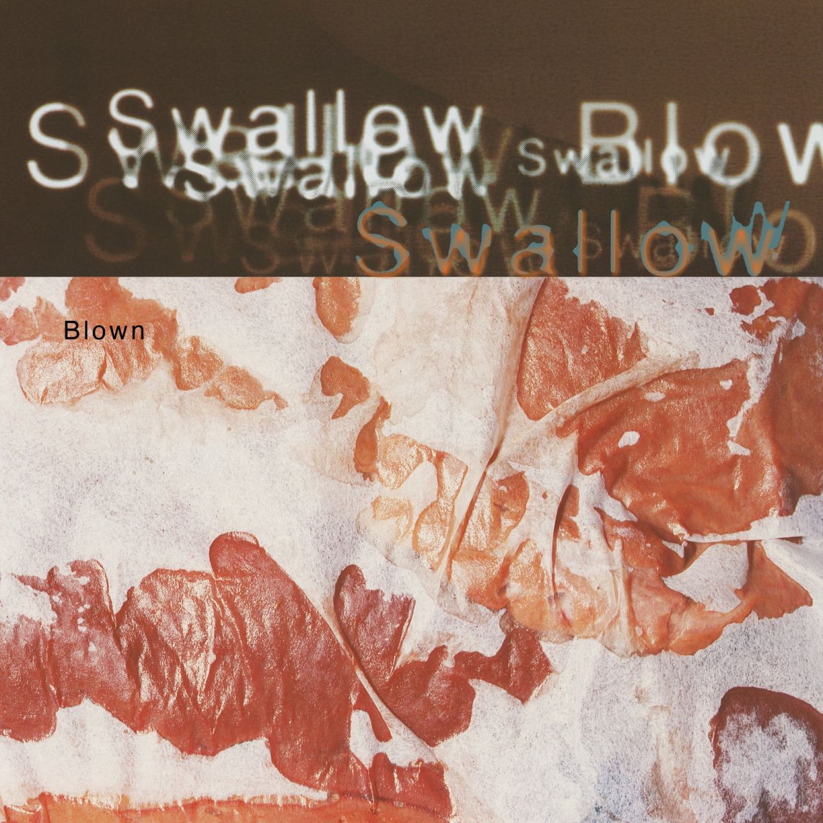 CD Shop - SWALLOW BLOWN