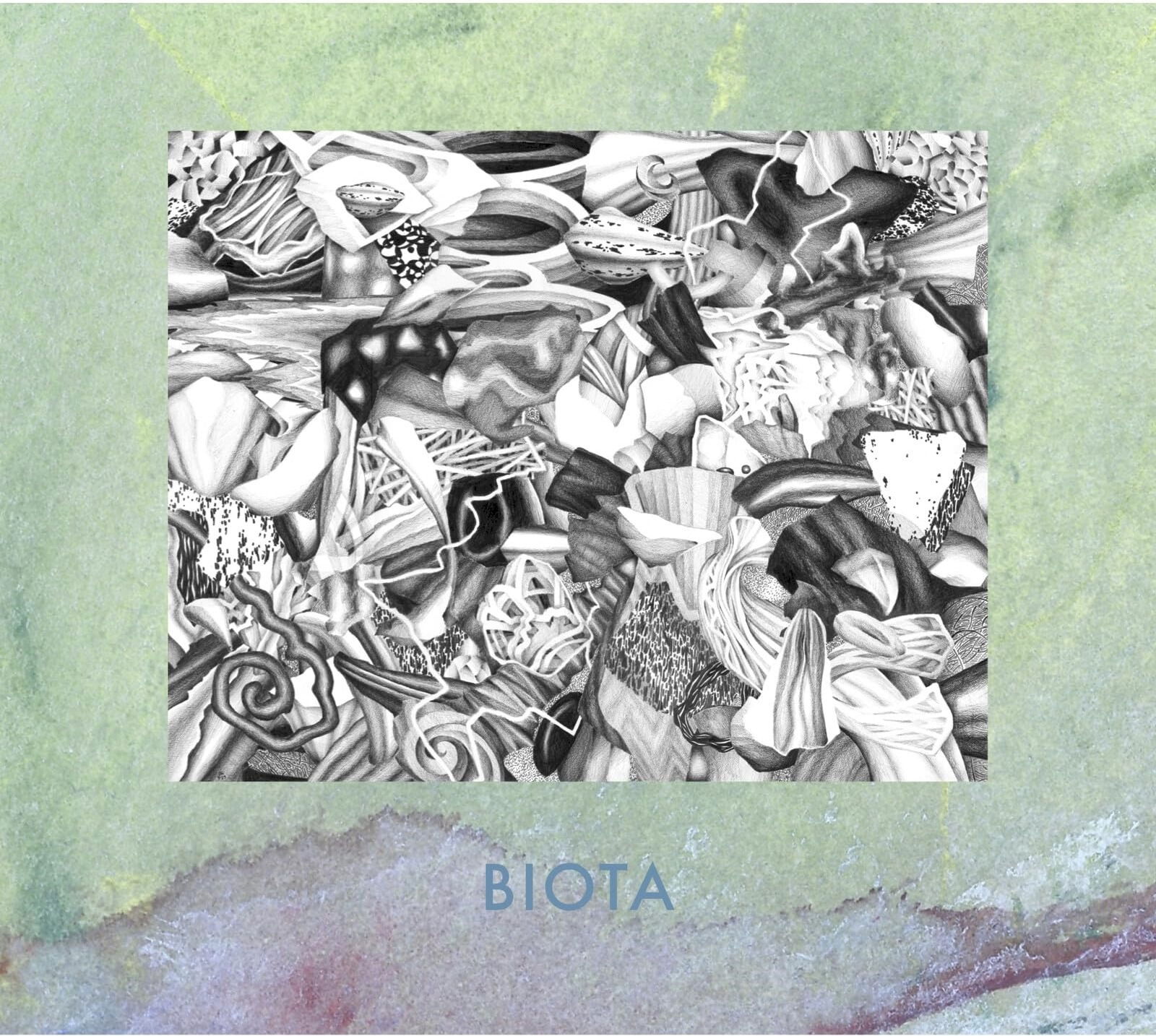 CD Shop - BIOTA MEASURED NOT FOUND
