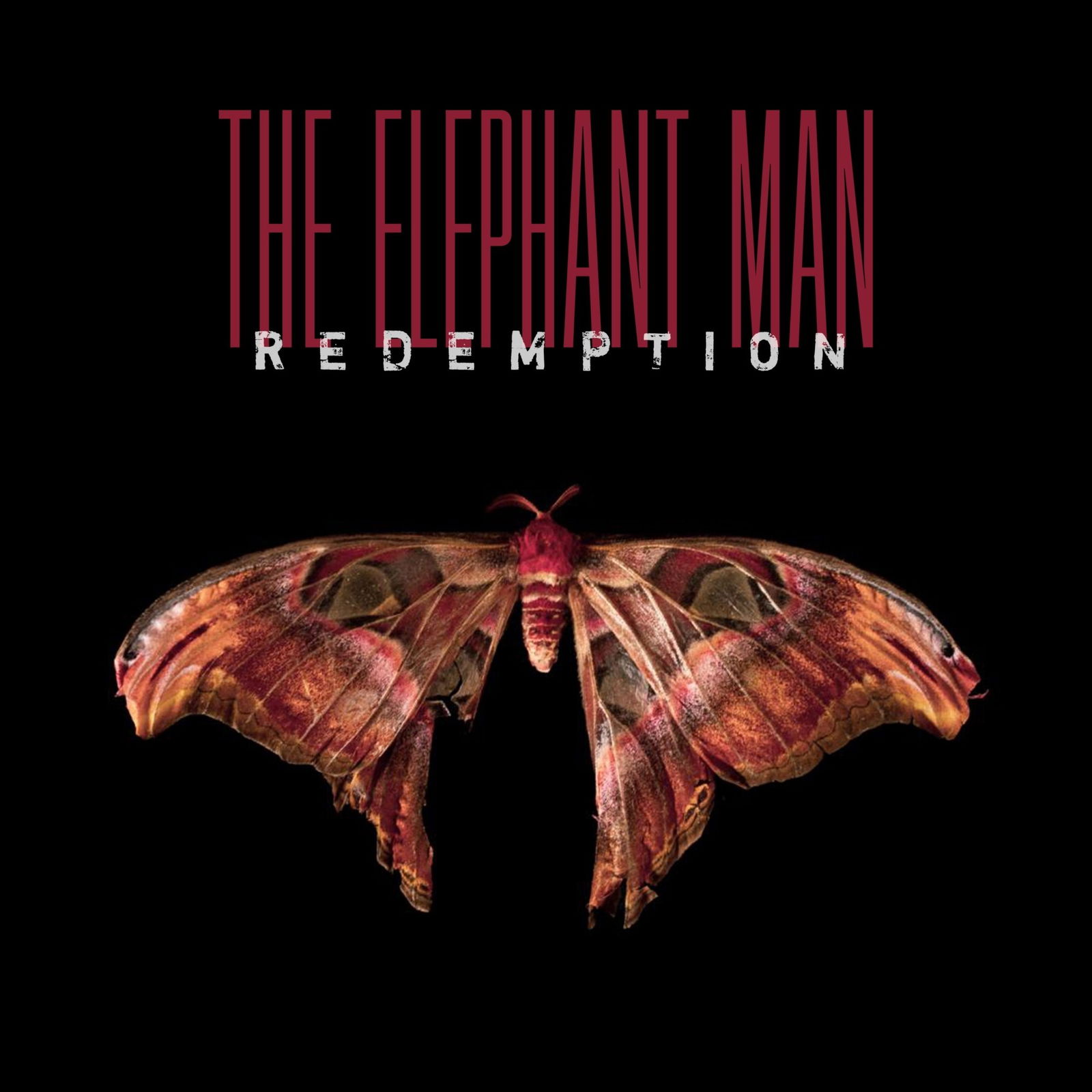CD Shop - THE ELEPHANT MAN REDEMPTION