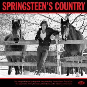 CD Shop - VARIOUS ARTISTS SPRINGSTEEN\