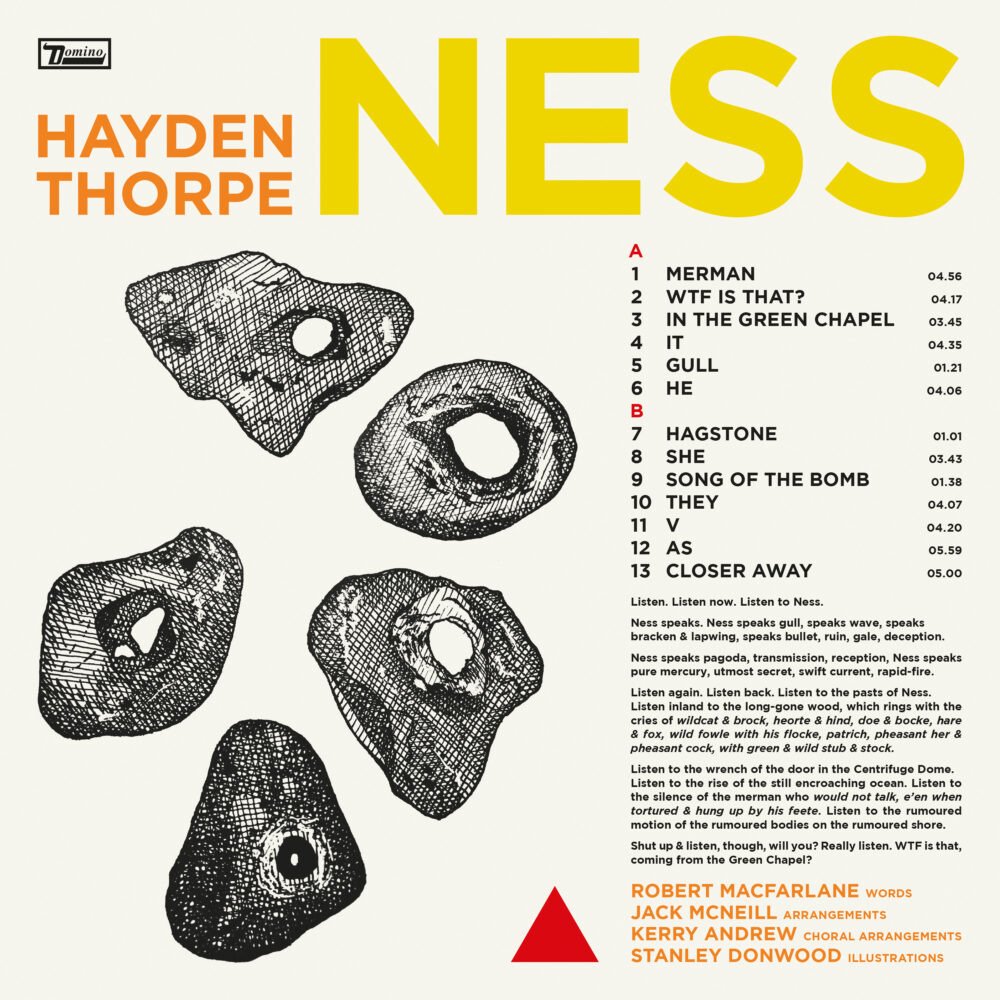 CD Shop - HAYDEN THORPE NESS