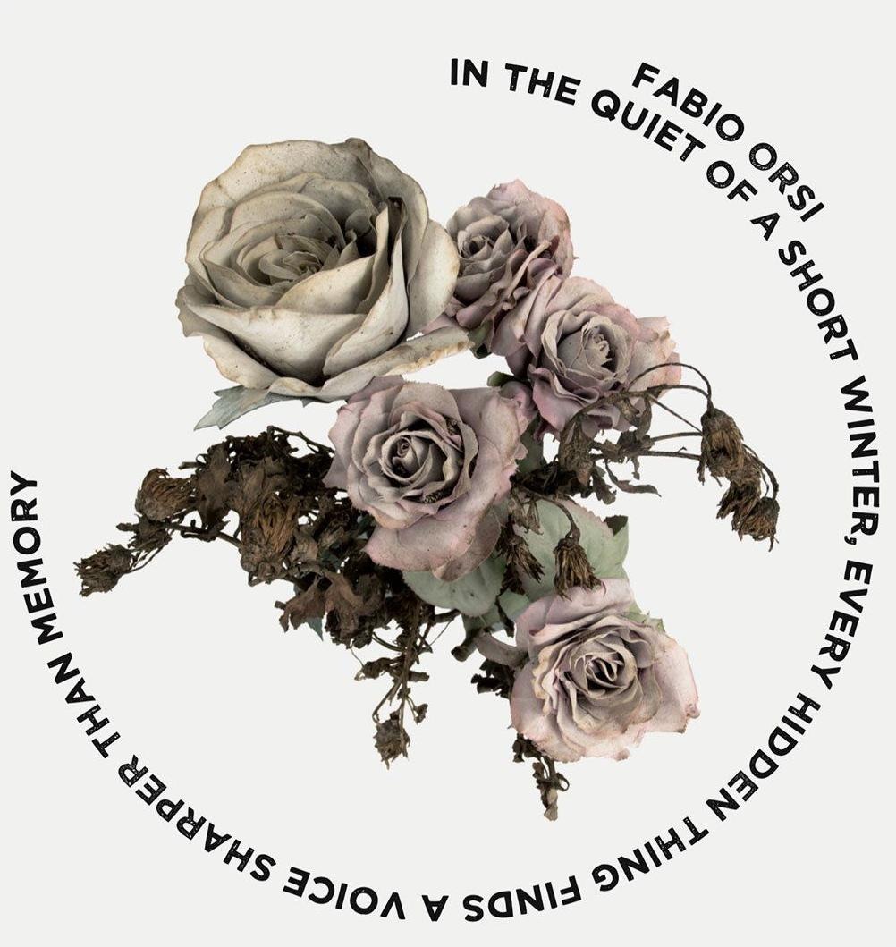 CD Shop - FABIO ORSI IN A QUIET OF A SHORT ...