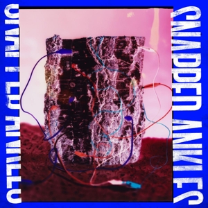 CD Shop - SNAPPED ANKLES FOREST OF YOUR PROBLEMS
