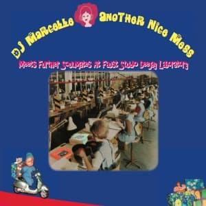 CD Shop - DJ MARCELLE ANOTHER NICE MESS III - MEETS FURTHER SOULMATES