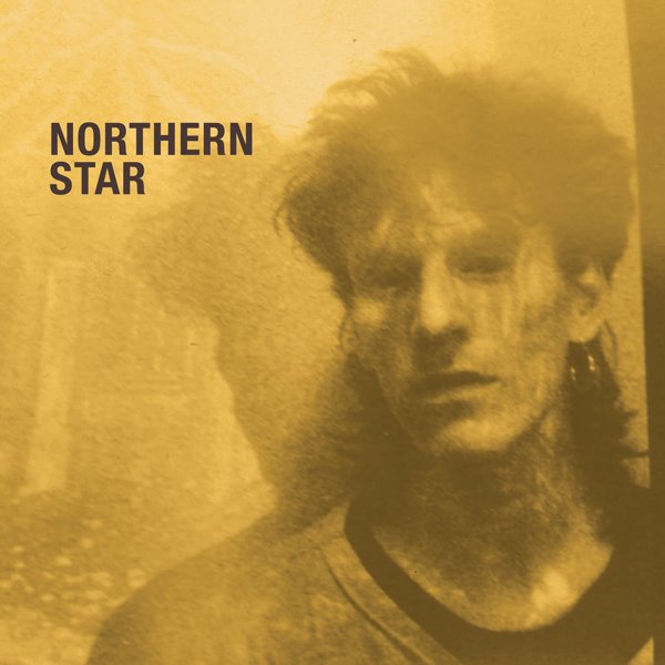 CD Shop - DAVID FIELDING NORTHERN STAR