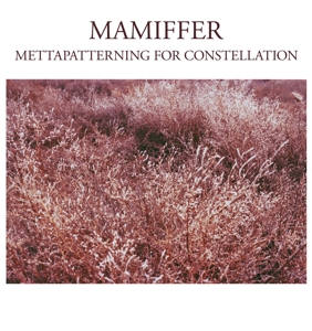 CD Shop - MAMIFFER METTAPATTERNING FOR CO...