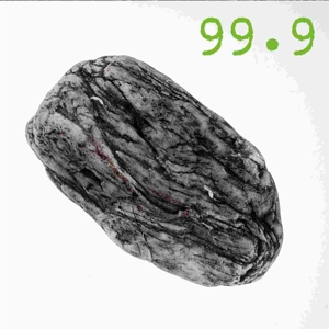 CD Shop - 99.9 SILEX