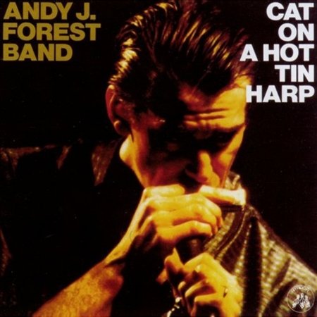 CD Shop - ANDY J. -BAND- FOREST CAT ON A HOT TIN HARP