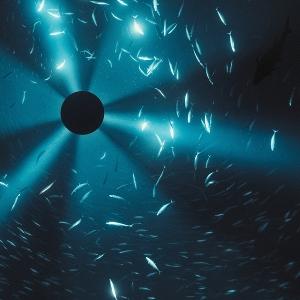 CD Shop - LAUREL HALO MIDNIGHT ZONE