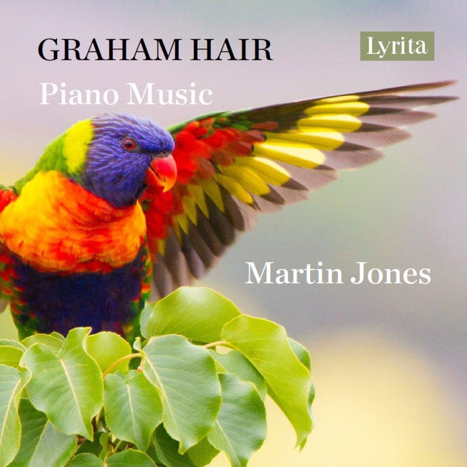 CD Shop - MARTIN JONES GRAHAM HAIR: PIANO MUSIC