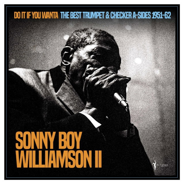 CD Shop - SONNY BOY WILLIAMSON II DO IT IF YOU WANTA: TH...