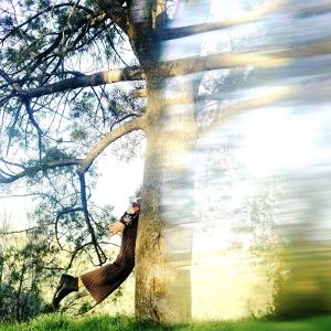 CD Shop - SHANNON LAY PAST THE VEIL