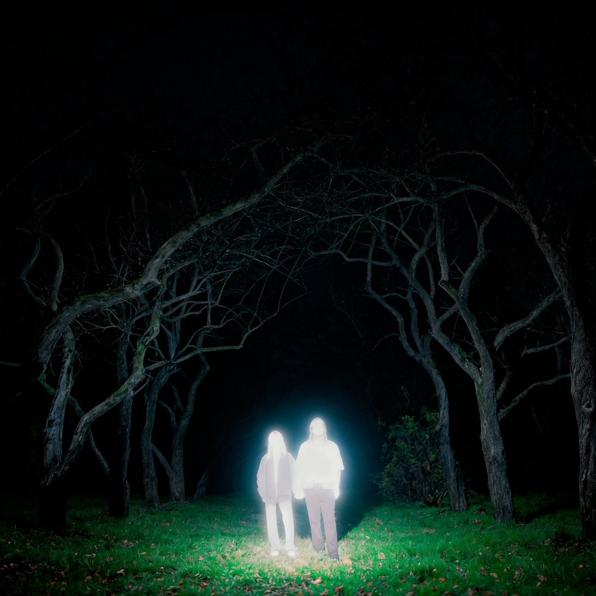 CD Shop - GNOOMES LOSEY