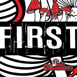 CD Shop - TOXIC MUSHROOMS FIRST