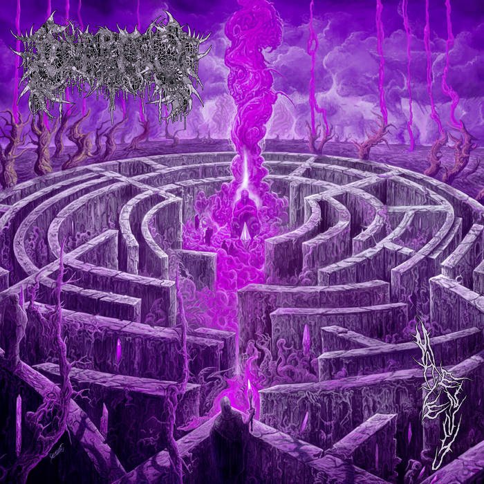 CD Shop - CIVEROUS MAZE ANVY