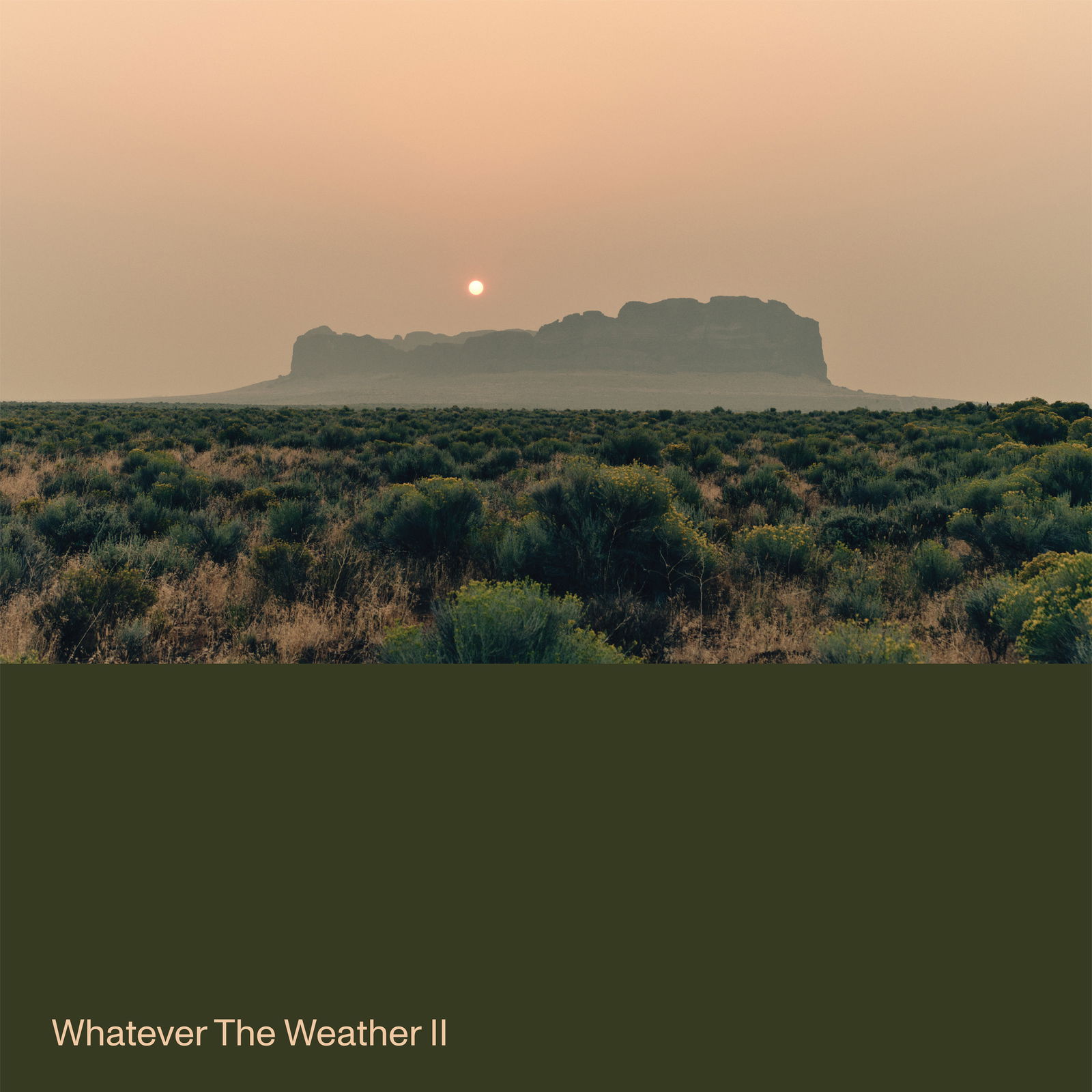 CD Shop - WHATEVER THE WEATHER WAHATEVER THE WEATHER II