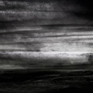 CD Shop - STRAY DOGS WASTELAND