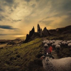 CD Shop - FRANCK CARDUCCI SHEEPLE