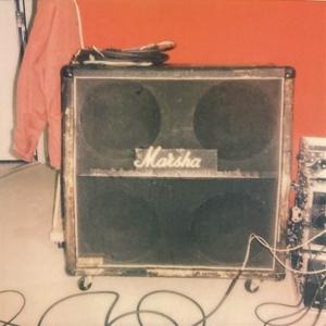 CD Shop - THE CULT OF LIP MARSHA
