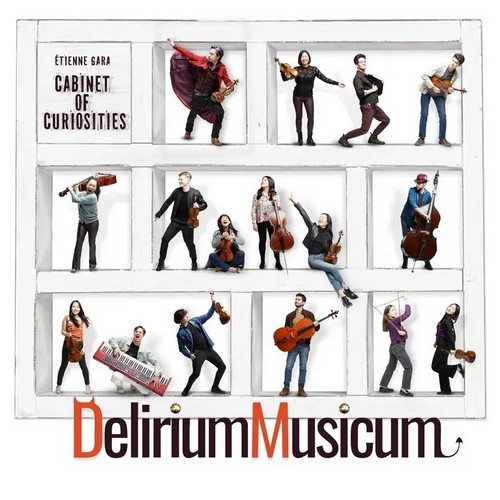 CD Shop - DELERIUM MUSICUM,ETIENNE GARA CABINET OF CURIOSITIES