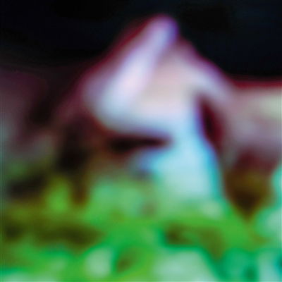 CD Shop - HAIR & TREASURE DISC ROT