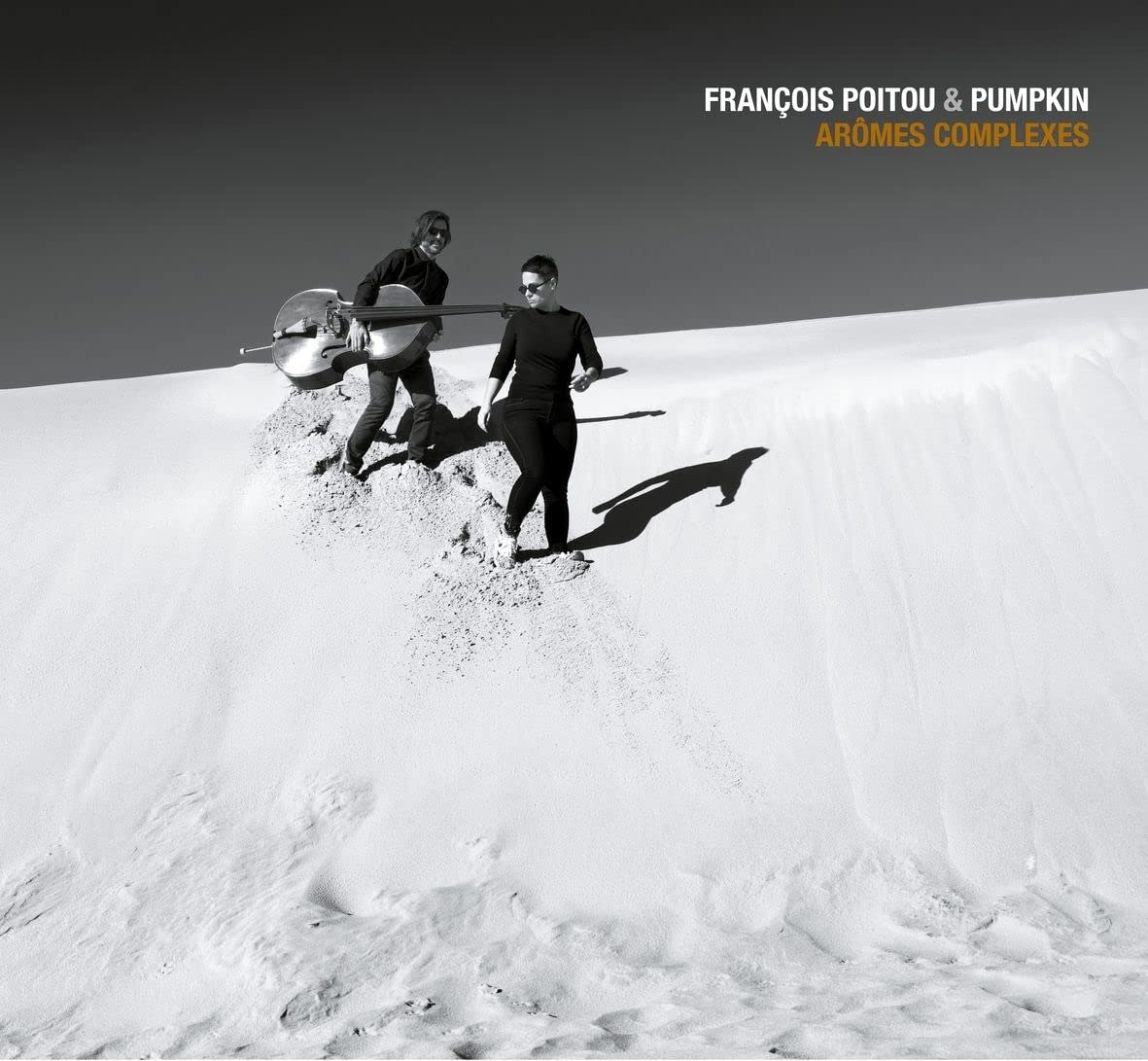 CD Shop - FRANCOIS POITOU AROMES COMPLEXES