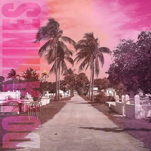 CD Shop - DOPAMINES 80/20