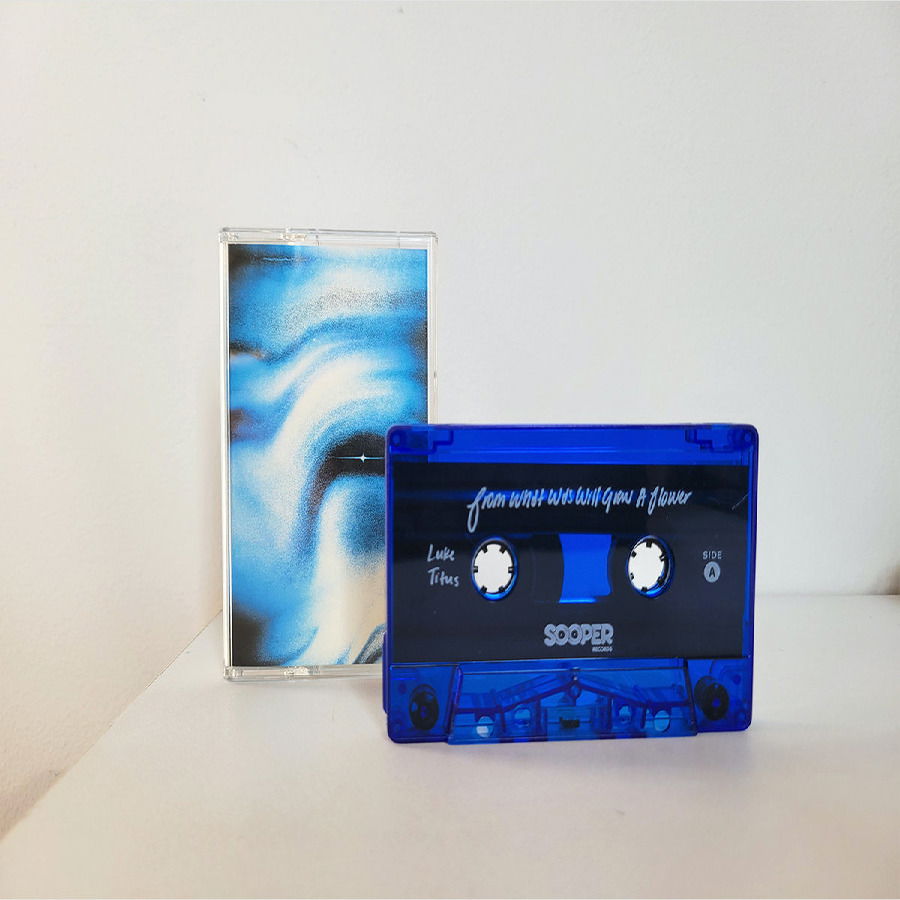 CD Shop - LUKE TITUS FROM WHAT WAS WILL GRO...
