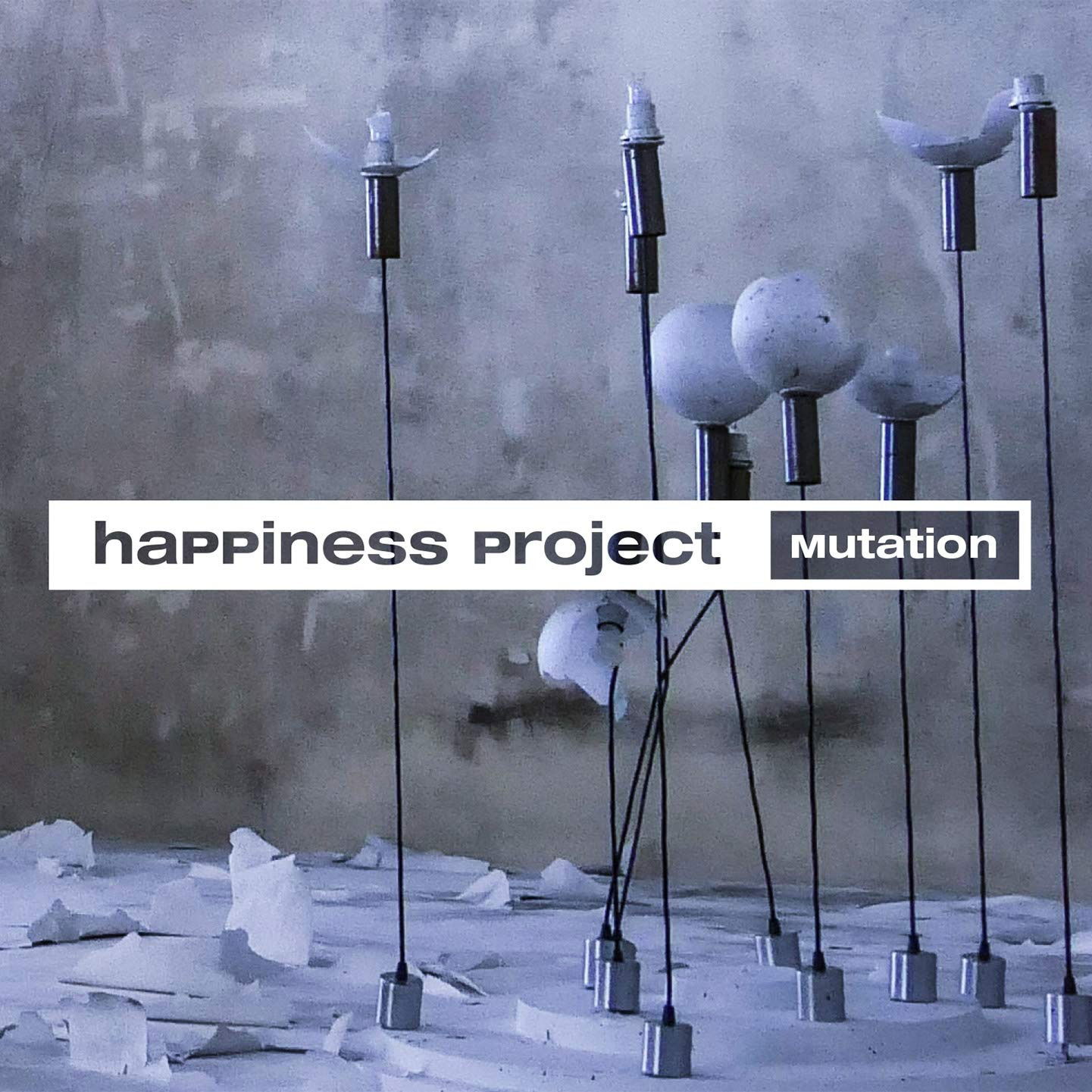 CD Shop - HAPPINESS PROJECT MUTATION