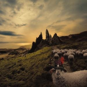 CD Shop - FRANCK CARDUCCI SHEEPLE