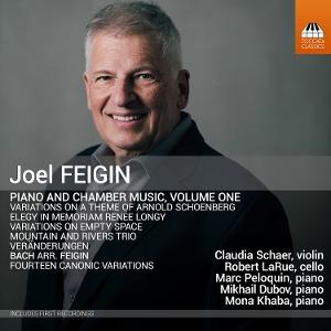 CD Shop - CLAUDIA SCHAER,ROBERT LARUE,MARC PELOQUIN,MIKHAIL DUBOV,MONA KHABA JOEL FEIGIN: PIANO AND...