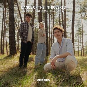 CD Shop - TEEMU KEKKONEN DANCE OF THE INTROVERTS