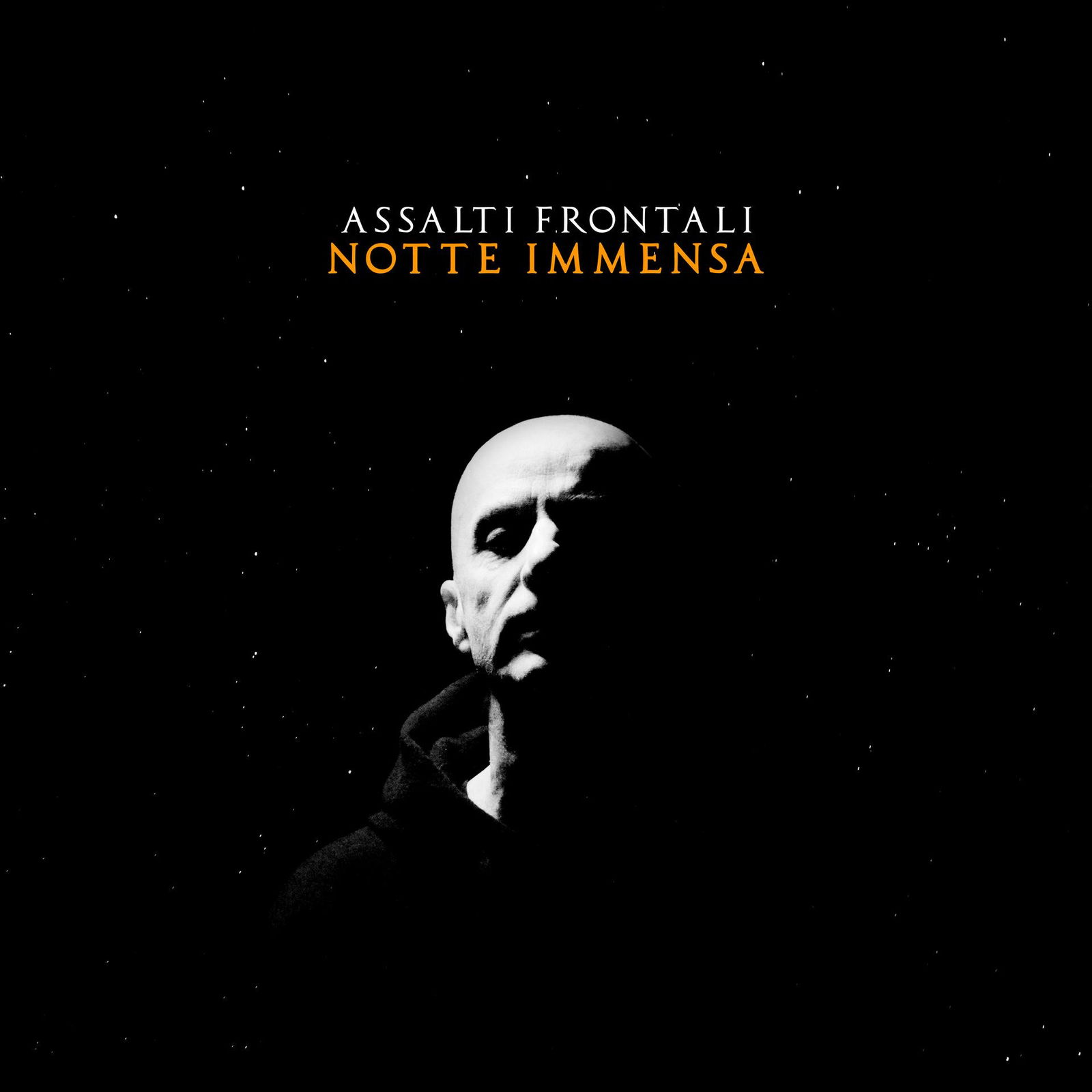CD Shop - ASSALTI FRONTALI NOTTE IMMENSA