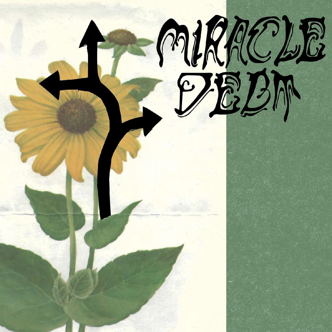 CD Shop - MIRACLE DEBT UNDER THE SHADOW