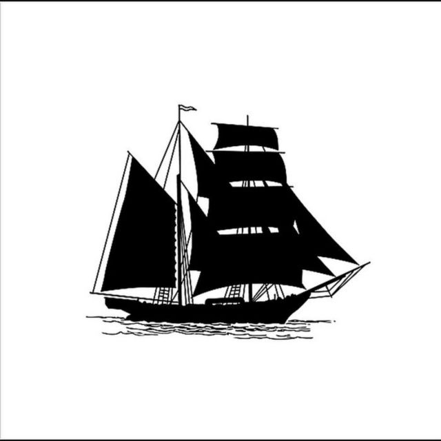 CD Shop - BELLE ADAIR,BEAR 7-SHAKIN\