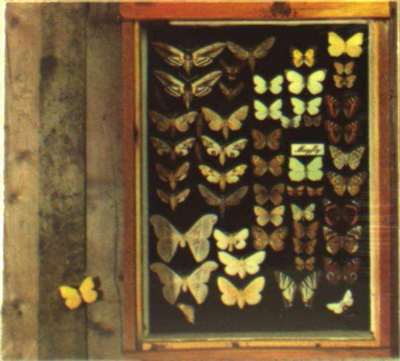 CD Shop - MAYFLY MAYFLY