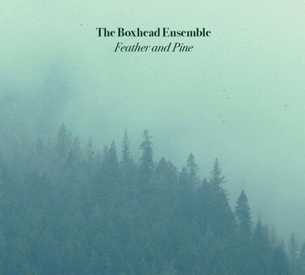 CD Shop - BOXHEAD ENSEMBLE FEATHER AND PAIN